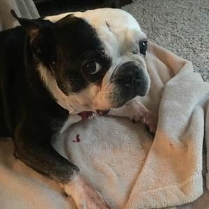 Meet your Posher, Cheryl